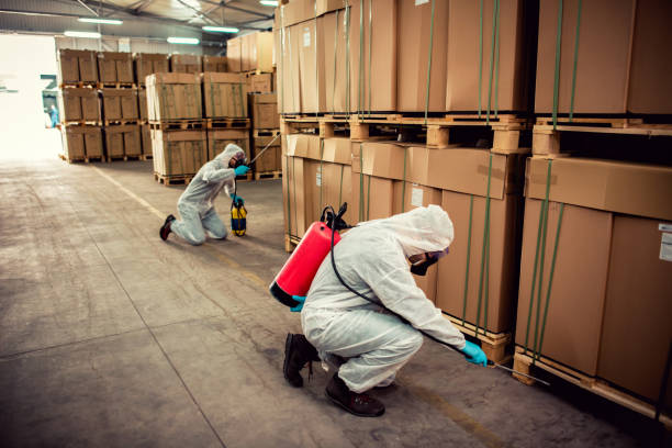 Best Pest Control for Homes  in Fort Montgomery, NY