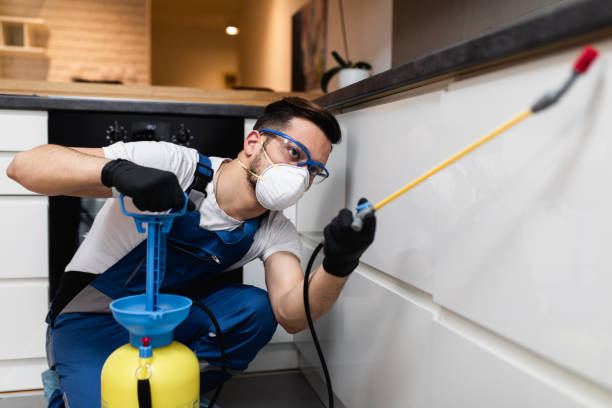Best Pest Control Near Me in Fort Montgomery, NY
