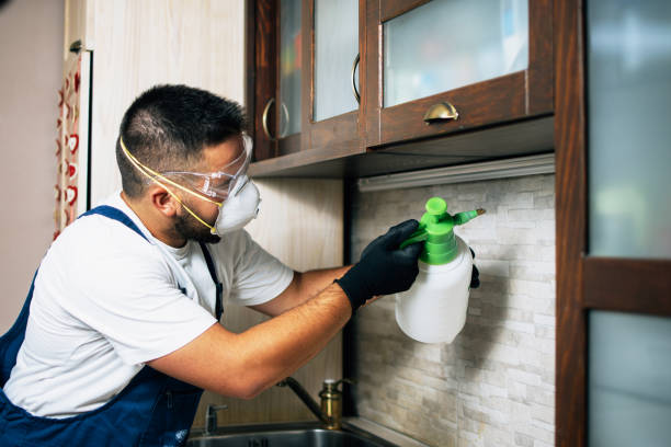 Best Wasp Removal Services  in Fort Montgomery, NY