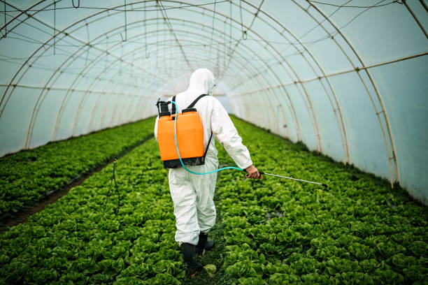Best Residential Pest Control  in Fort Montgomery, NY