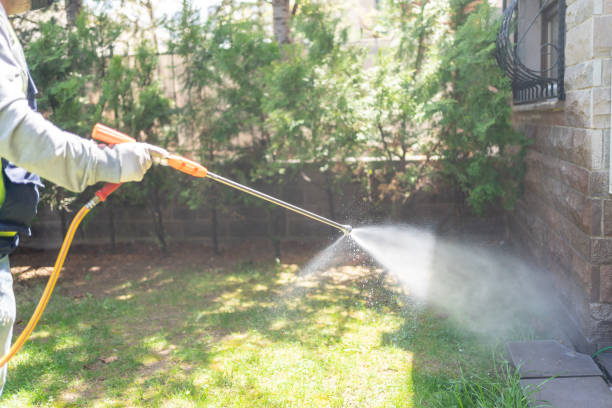 Best Local Pest Control Services  in Fort Montgomery, NY