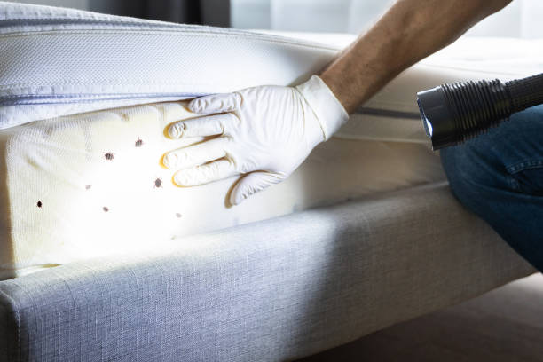 Best Exterminator Services  in Fort Montgomery, NY