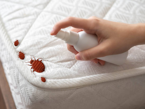 Flea Control Services in Fort Montgomery, NY