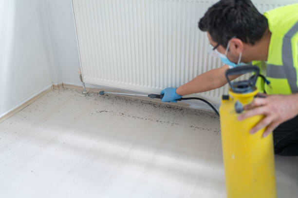 Fort Montgomery, NY Pest Control Pros