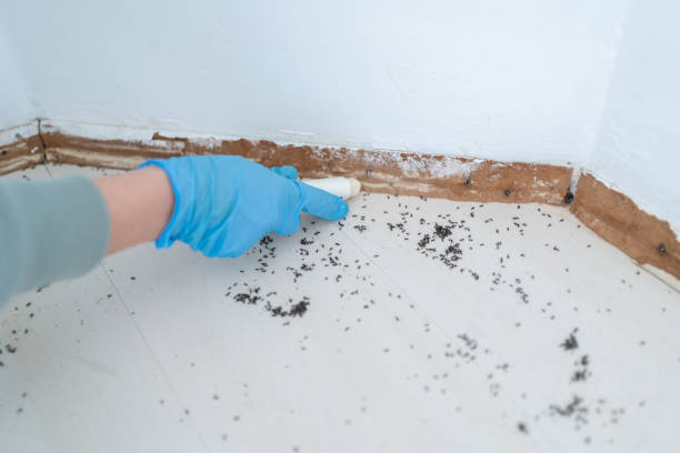 Best Affordable Pest Control Services  in Fort Montgomery, NY